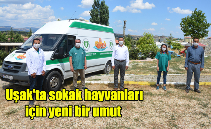 Uşak'ta Sokak canlıları için yeni bir umut