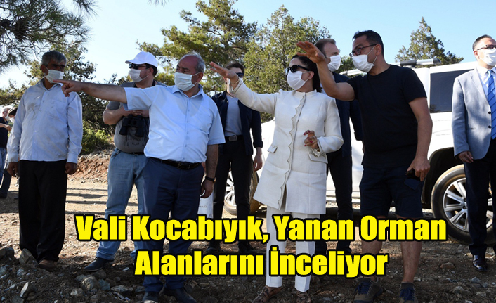 Vali Kocabıyık, yangında yanan ormanlık alanı yerinde inceledi