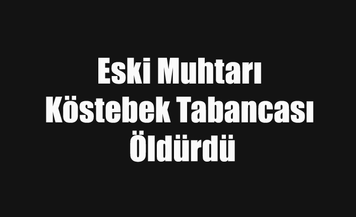 Eski Muhtarı Köstebek Tabancası Öldürdü