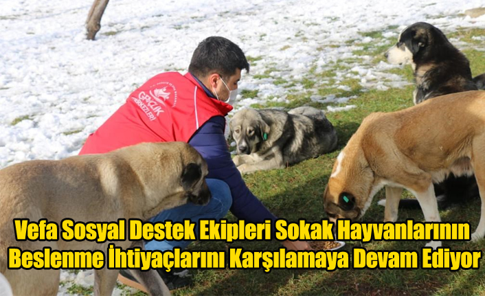 Vefa Sosyal Destek Ekipleri Sokak Hayvanlarının Beslenme İhtiyaçlarını Karşılamaya Devam Ediyor