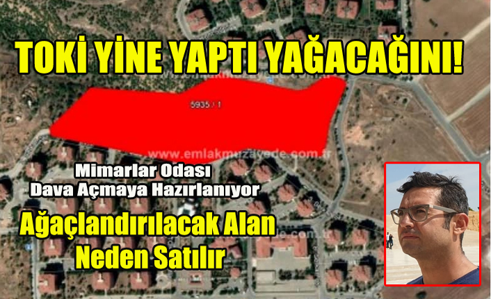 TOKİ UŞAK'TA AĞAÇLANDIRILACAK ALANI SATIŞA ÇIKARDI ORTALIK KARIŞTI