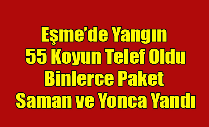 EŞME'DE YANGIN 55 KOYUN VE BİNLERCE PAKET YONCA İLE SAMAN YANARAK KÜL OLDU