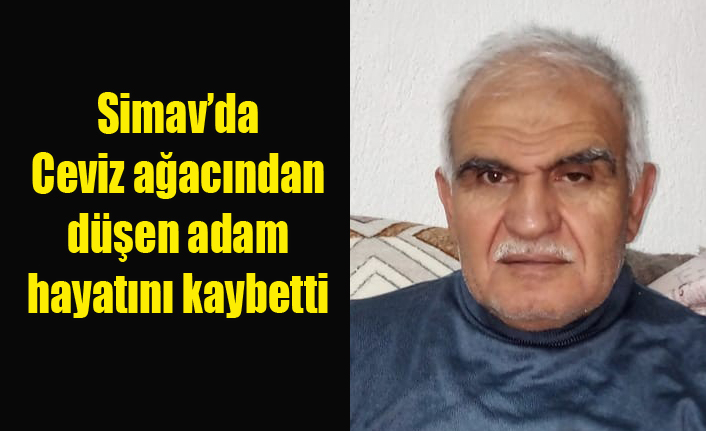Simav'da Ceviz ağacından düşen adam hayatını kaybetti