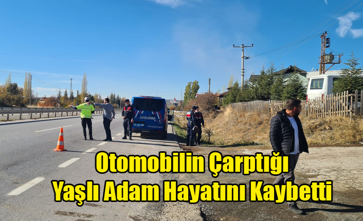 Otomobilin Çarptığı Yaşlı Adam Hayatını Kaybetti