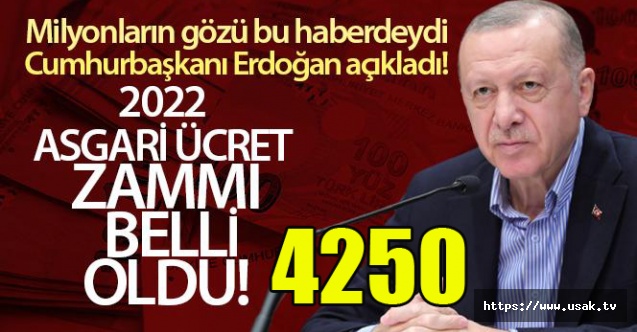 Asgari Ücret 4250 TL oldu