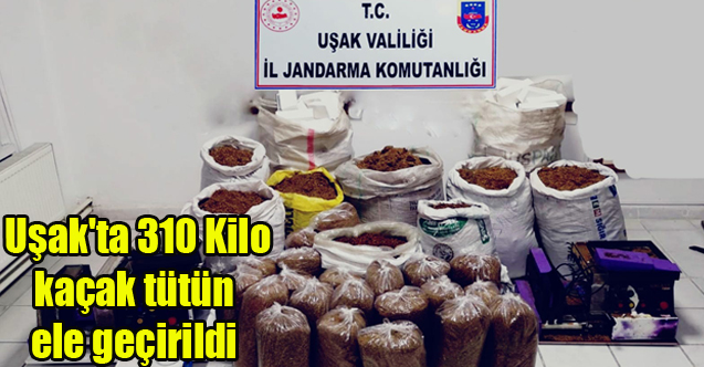 Uşak'ta 310 kilogram kaçak tütün ele geçirildi