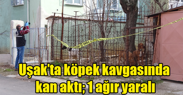 Uşak'ta Komşuların köpek kavgasında kan aktı; 1 ağır yaralı