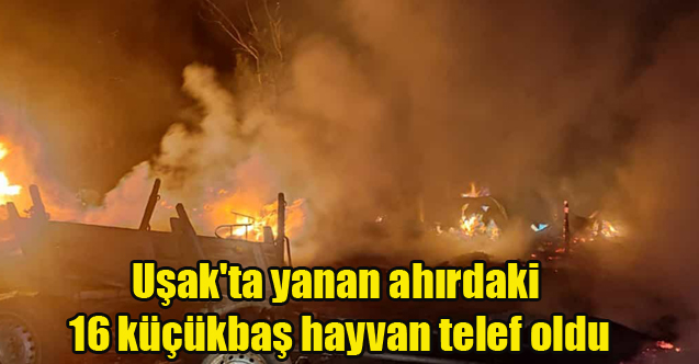 Uşak'ta yanan ahırdaki 16 küçükbaş hayvan telef oldu