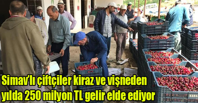 Simav’lı çiftçiler kiraz ve vişneden yılda 250 milyon TL gelir elde ediyor