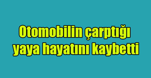 Otomobilin çarptığı yaya hayatını kaybetti