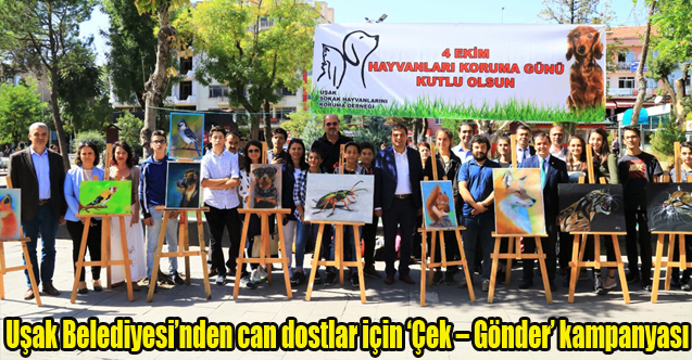 Uşak Belediyesi’nden can dostlar için ‘Çek – Gönder’ kampanyası