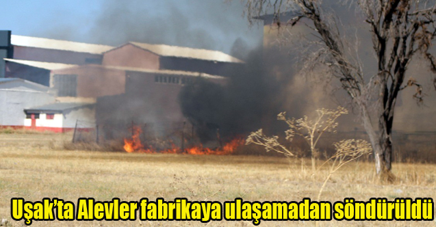 Uşak'ta Alevler fabrikaya ulaşamadan söndürüldü