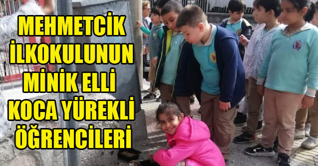 MEHMETCİK İLKOKULUNUN MİNİK ELLİ KOCA YÜREKLİ ÖĞRENCİLERİ