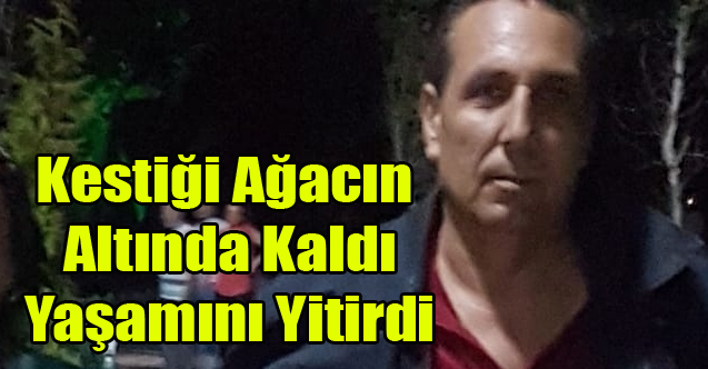 Kestiği meşe ağacı altında hayatını kaybetti