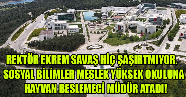 SOSYAL BİLİMLER MESLEK YÜKSEK OKULUNA HAYVAN BESLEMECİ MÜDÜR ATANDI!
