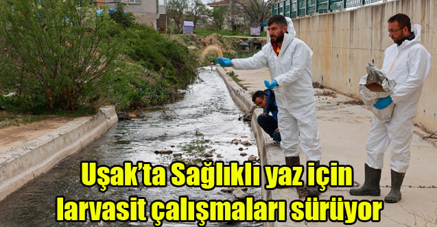 Uşak'ta Sağlıklı yaz için larvasit çalışmaları sürüyor