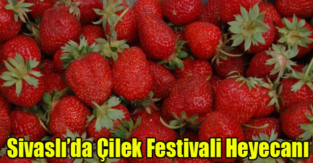 Sivaslı’da 35. Çilek ve Kültür Festivali için geri sayım başladı