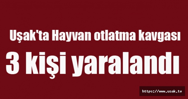 Uşak'ta Hayvan otlatma kavgasında 3 kişi yaralandı