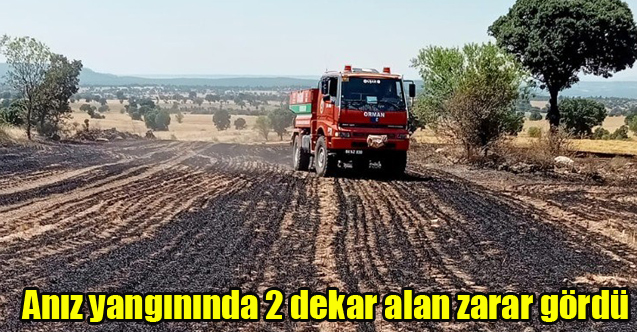 Anız yangınında 2 dekar alan zarar gördü