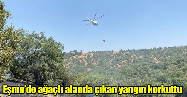 Eşme’de ağaçlı alanda çıkan yangın korkuttu