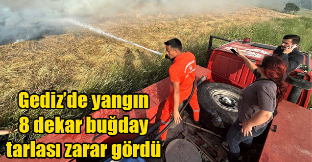 Gediz’de yangın 8 dekar buğday tarlası zarar gördü