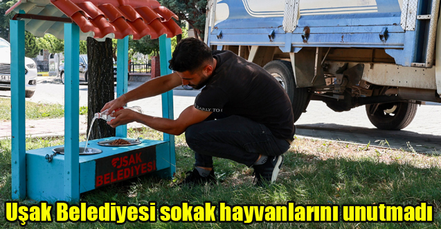 Uşak Belediyesi yaz aylarında sokak hayvanları unutmadı