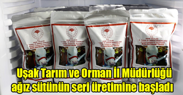 Uşak Tarım ve Orman İl Müdürlüğü ağız sütünün seri üretimine başladı