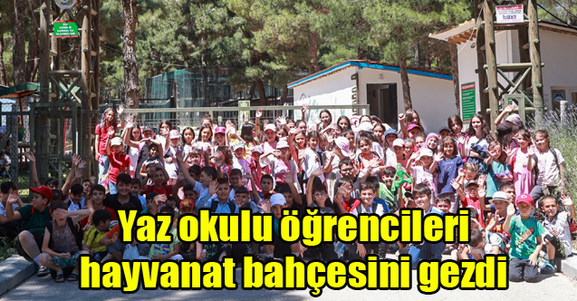 Yaz okulu öğrencileri hayvanat bahçesini gezdi