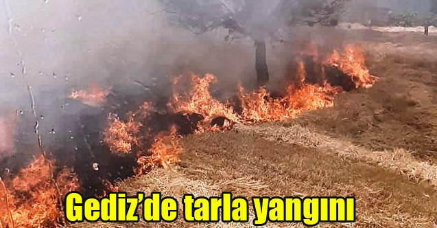 Gediz’de tarla yangını