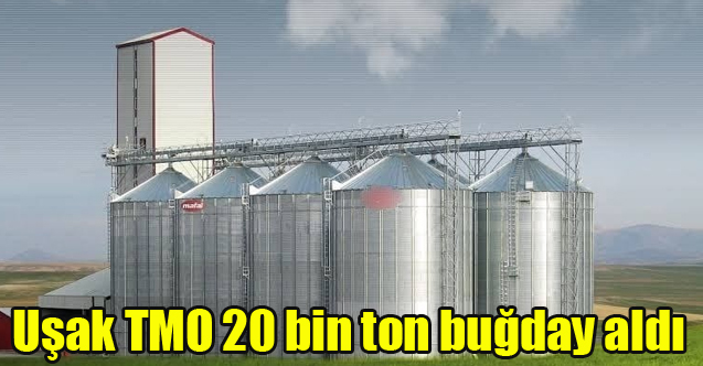 Uşak TMO randevu limitlerini genişleterek 20 bin ton buğday aldı