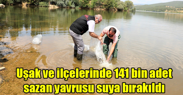 Uşak ve ilçelerinde 141 bin adet sazan yavrusu suya bırakıldı
