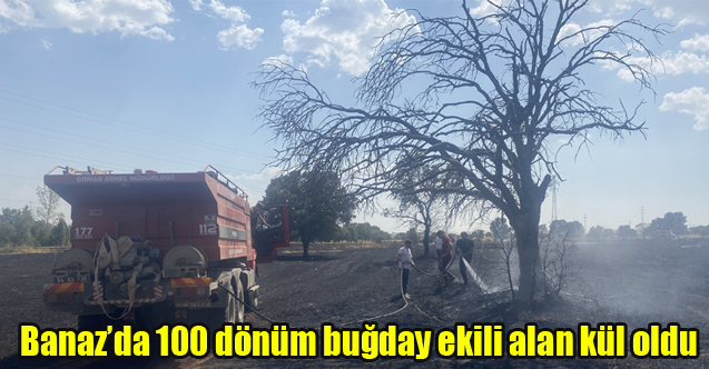 Uşak’ta 100 dönüm buğday ekili alan kül oldu