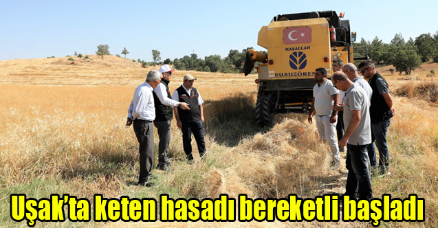Uşak’ta keten hasadı bereketli başladı