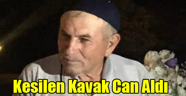 Gediz’de kavak ağacının altında kalan yaşlı adam hayatını kaybetti