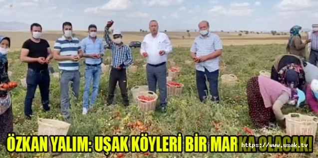 ÖZKAN YALIM: UŞAK KÖYLERİ BİR MARKA OLACAK!