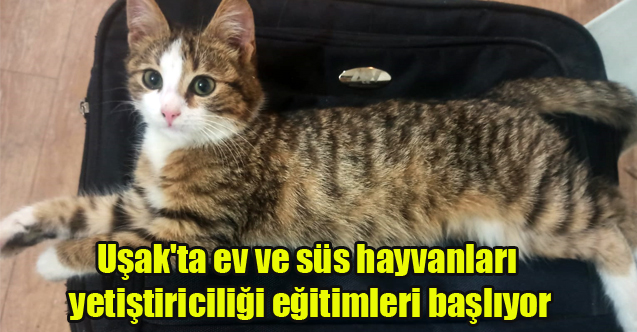 Uşak'ta ev ve süs hayvanları yetiştiriciliği eğitimleri başlıyor