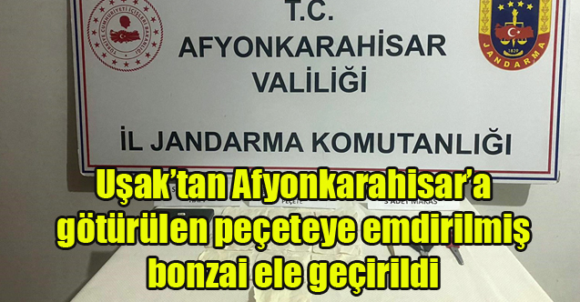 Uşak'tan Afyonkarahisar’a götürülen peçeteye emdirilmiş bonzai ele geçirildi