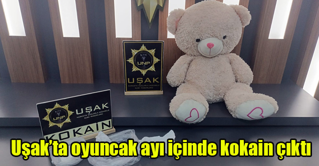 Uşak’ta oyuncak ayı içinde kokain çıktı