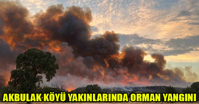 UŞAK'TA AKBULAK KÖYÜ YAKINLARINDA ORMAN YANGINI