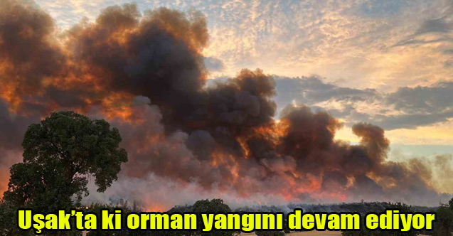 UŞAK'TA ORMAN YANGINI DEVAM EDİYOR