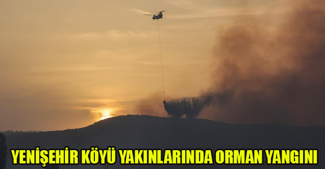 YENİŞEHİR KÖYÜ YAKINLARINDA ORMAN YANGINI