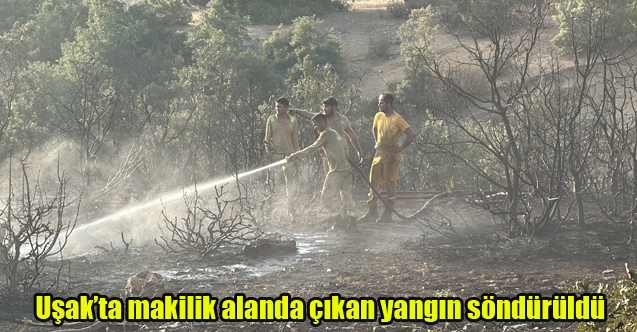Uşak’ta makilik alanda çıkan yangın söndürüldü