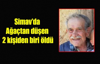 Simav#039;da  ağaçtan düşen 2 kişiden 1#039;i öldü, diğeri ise ağır yaralandı. 