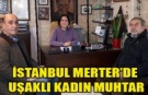 İSTANBUL MERTER’DE UŞAKLI KADIN MUHTAR