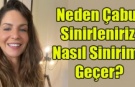 Neden Çabuk Sinirleniriz? Nasıl Sinirimiz Geçer?