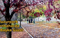 HUZURPARK SONBAHARDA BİR BAŞKA GÜZEL