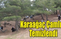 Karaağaç Çamlığı Temizlendi