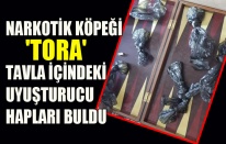 NARKOTİK KÖPEĞİ 'TORA'TAVLA İÇİNDEKİ UYUŞTURUCU HAPLARI BULDU