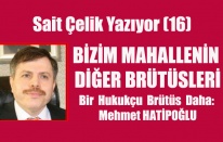 BİZİM MAHALLENİN DİĞER BRÜTÜSLERİ