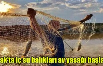 Uşak’ta iç su balıkları av yasağı başladı